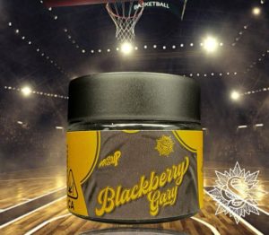 blackberry gary by serge cannabis strain review by thethcspot