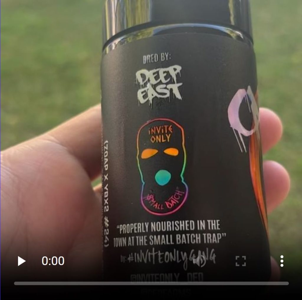 calaveras by deep east strain review by thethcspot 2