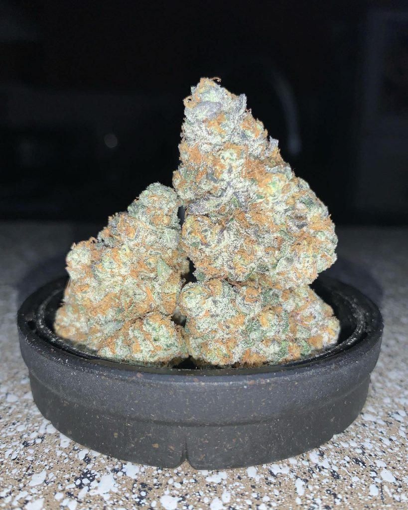 glitterati by high noon cultivation strain review by pnw.chronic