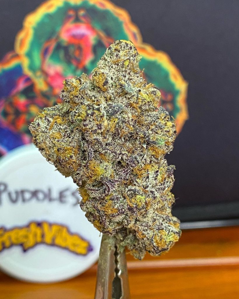 puddles by fresh vibez flower co strain review by cali_bud_Reviews