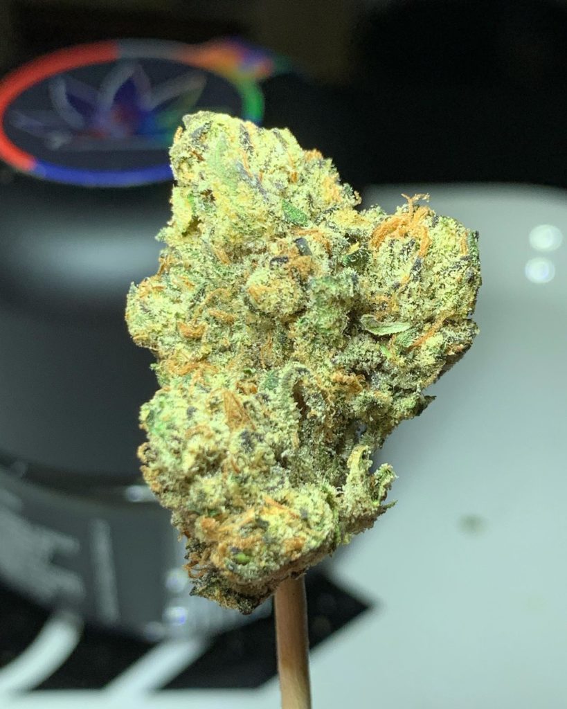 zaviar by russian assassin boyz strain review by ogkush_or_nah 2